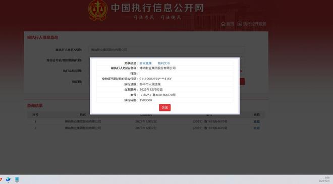 博纳影业及一子公司成被执行人(图2)